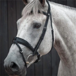 2023 Henry James Saddlery Dressage Bridle HJ-BR-03 - Black Colour Black -Equestrian Supplies 6998 202320Henry20James20Saddlery20Dressage20Bridle20HJ BR 0320 20Black203.700x700