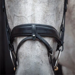 2023 Henry James Saddlery Dressage Bridle HJ-BR-03 - Black Colour Black -Equestrian Supplies 6998 202320Henry20James20Saddlery20Dressage20Bridle20HJ BR 0320 20Black204.700x700