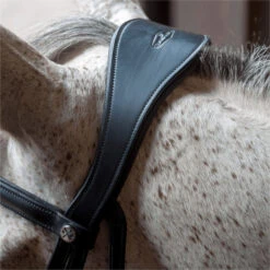 2023 Henry James Saddlery Dressage Bridle HJ-BR-03 - Black Colour Black -Equestrian Supplies 6998 202320Henry20James20Saddlery20Dressage20Bridle20HJ BR 0320 20Black205.700x700