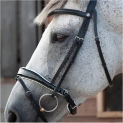 2023 Henry James Saddlery Patent Dressage Bridle With White Padding HJ-BR-07 - Black -Equestrian Supplies 7005 202320Henry20James20Saddlery20Patent20Dressage20Bridle20with20White20Padding20HJ BR 0720 20Black204.700x700