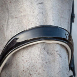 2023 Henry James Saddlery Patent Dressage Bridle With White Padding HJ-BR-07 - Black -Equestrian Supplies 7005 202320Henry20James20Saddlery20Patent20Dressage20Bridle20with20White20Padding20HJ BR 0720 20Black205.700x700