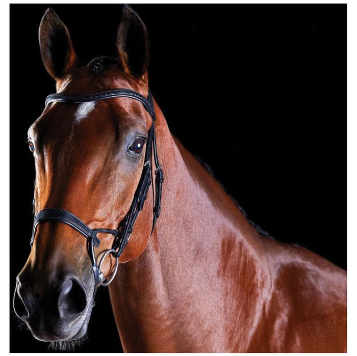 Collegiate Comfitec Training Bridle - Black Colour Black 1 Collegiate Comfitec Training Bridle - Black Colour Black