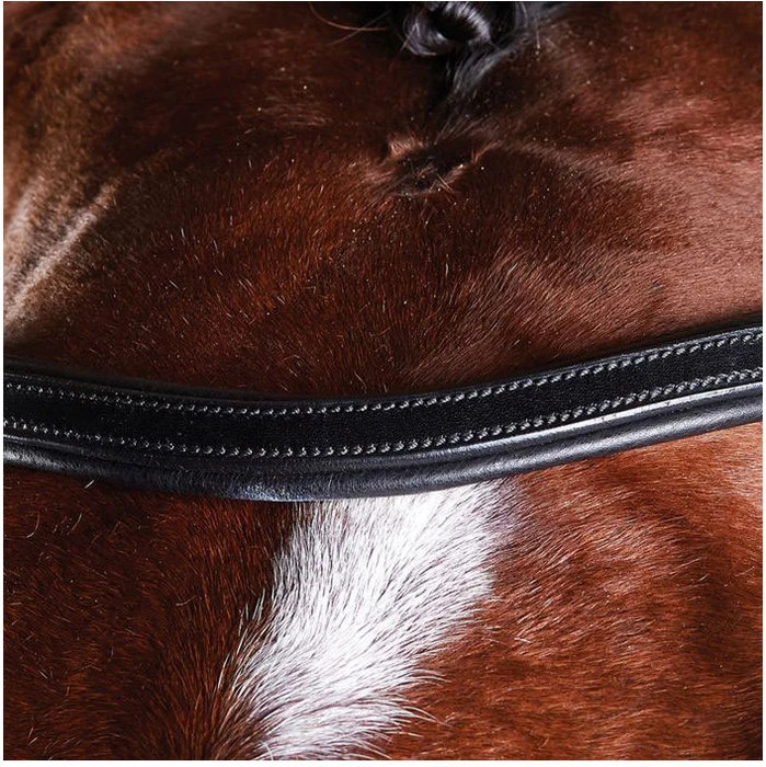Collegiate Comfitec Training Bridle - Black Colour Black 2 Collegiate Comfitec Training Bridle - Black Colour Black - Image 2