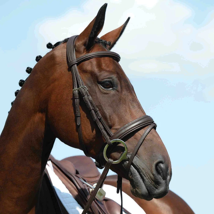 Collegiate Syntovia+ Padded Raised Flash Bridle - Brown Colour Brown 1 Collegiate Syntovia+ Padded Raised Flash Bridle - Brown Colour Brown