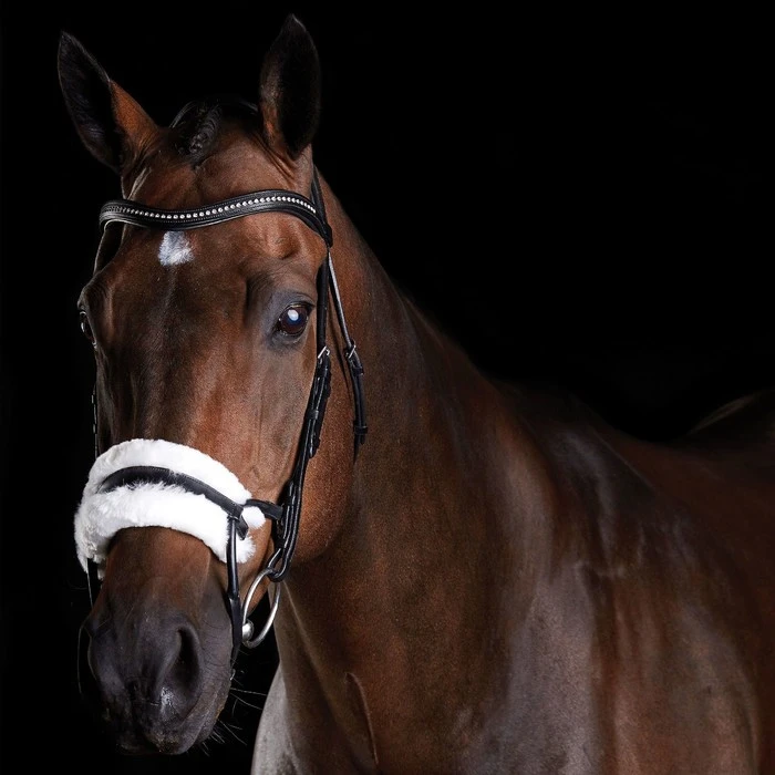 Collegiate Comfitec Sheepskin Bridle - Black Colour Black 1 Collegiate Comfitec Sheepskin Bridle - Black Colour Black