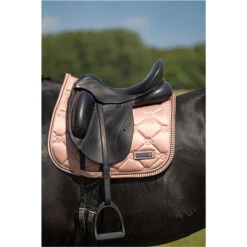 2023 Imperial Riding Lovely General Purpose Saddle Pad ZT73122000 - Rosy Colour Rosy 6 2023 Imperial Riding Lovely General Purpose Saddle Pad ZT73122000 - Rosy Colour Rosy -Equestrian Supplies DSC03143.700x700