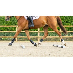 Woof Wear Pro Tendon Boots Black -Equestrian Supplies DSC2512.700x700