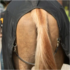 Equilibrium Magnetic Rug With Neck - Black 13 Equilibrium Magnetic Rug With Neck - Black -Equestrian Supplies Equilibrium Magnetic Rug with Neck Black 6.700x700