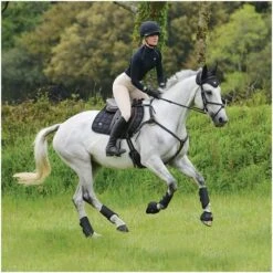 2021 Woof Wear IVent Overreach Boot WB0071 - Black Colour Black -Equestrian Supplies PiLa5nWM.700x700 1