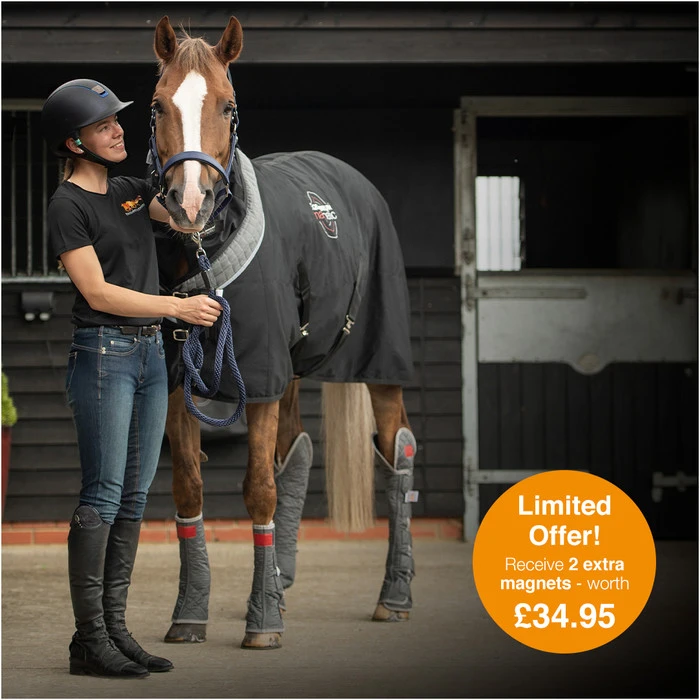 Equilibrium Magnetic Rug With Neck - Black 2 Equilibrium Magnetic Rug With Neck - Black - Image 2