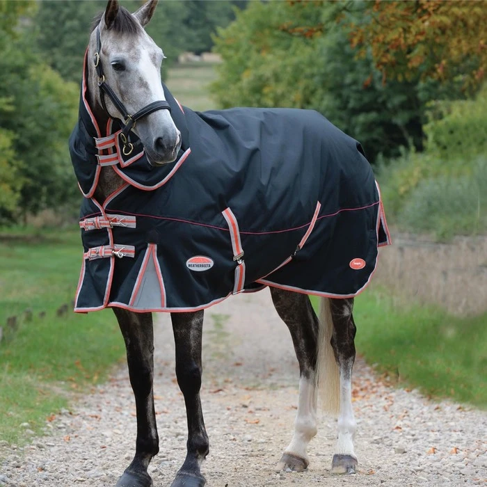 WeatherBeeta ComFiTec Premier With Therapy-Tec Detach-A-Neck Lite Plus Turnout Rug 10062120 - Black / Silver / Red 1 WeatherBeeta ComFiTec Premier With Therapy-Tec Detach-A-Neck Lite Plus Turnout Rug 10062120 - Black / Silver / Red