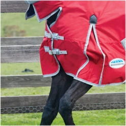 2022 Weatherbeeta Comfitec Classic Lite Combo Neck Turnout Rug - Red / Silver Colour Red/Silver -Equestrian Supplies Weatherbeeta Comfitec Classic Combo Neck Lite Red 2.700x700