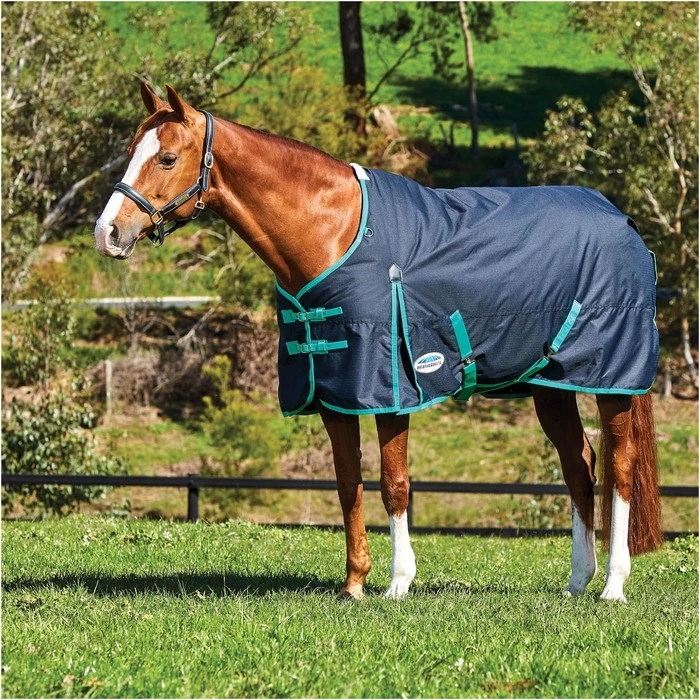 Weatherbeeta Comfitec Classic Medium Standard Neck Rug - Black / Green 1 Weatherbeeta Comfitec Classic Medium Standard Neck Rug - Black / Green