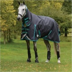 Weatherbeeta Comfitec Plus Dynamic II Medium Combo Neck Rug - Black / Aqua Colour Black/Aqua