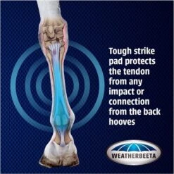 Weatherbeeta Cross Country Boots Hind - Black -Equestrian Supplies Weatherbeeta20Cross20Country20Boots20Front20 20Black20graphi.700x700