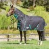 Weatherbeeta Green-Tec 900D Lite Plus Detach-A-Neck Rug - Black / Bottle Green