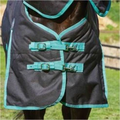 Weatherbeeta Green-Tec 900D Lite Plus Detach-A-Neck Rug - Black / Bottle Green -Equestrian Supplies Weatherbeeta20Green Tec20900D20Deatch A Neck20Lite20Plus20 20Black20Bottle20Green205.700x700