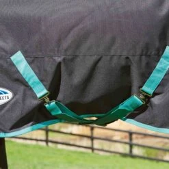 Weatherbeeta Green-Tec 900D Lite Plus Detach-A-Neck Rug - Black / Bottle Green -Equestrian Supplies Weatherbeeta20Green Tec20900D20Deatch A Neck20Lite20Plus20 20Black20Bottle20Green207.700x700
