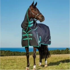 Weatherbeeta Green-Tec 900D Lite Plus Detach-A-Neck Rug - Black / Bottle Green -Equestrian Supplies Weatherbeeta20Green Tec20900D20Deatch A Neck20Lite20Plus20 20Black20Bottle20Green208.700x700