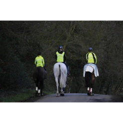 2022 Weatherbeeta Reflective Wrap Around Exercise Sheet 1004324 - Silver / Black -Equestrian Supplies Weatherbeeta20Reflective20Wrap20Around20Exercise20Sheet20Silver20Black201004324 lifestyle.700x700