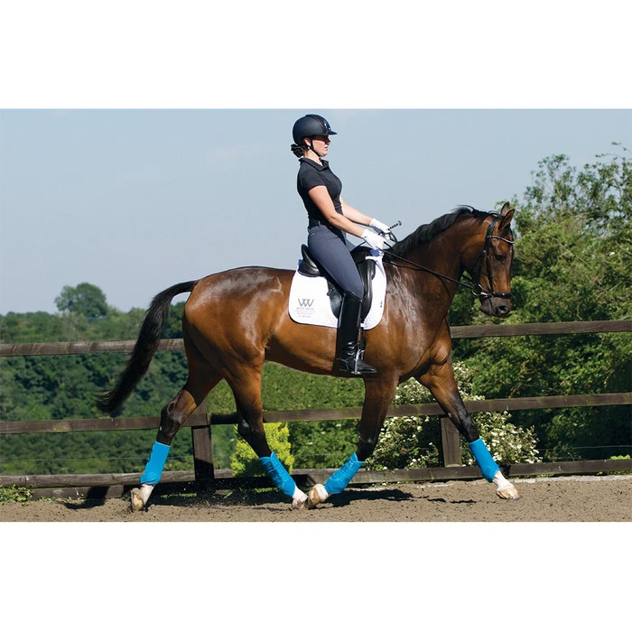 Woof Wear Training Wraps Berry 5 Woof Wear Training Wraps Berry - Image 5