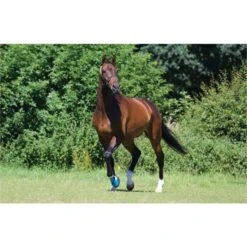 Woof Wear Medical Hoof Boot Blue -Equestrian Supplies medical20feild.700x700